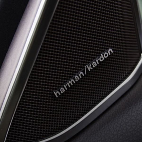 Automotive door is installed with micro expanded metal speaker grille.
